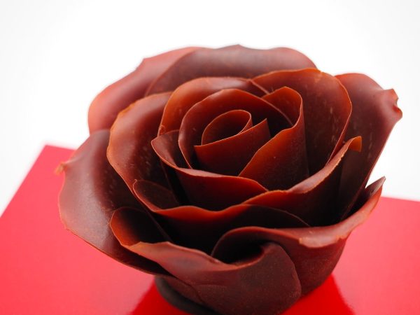 Rosa Chocolate