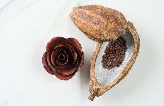 Viaja a través del paladar con nuestra variedad de chocolate Bean to Bar