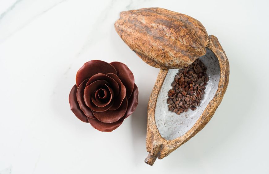 Viaja a través del paladar con nuestra variedad de chocolate Bean to Bar